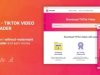 TikTok Video Downloader Without Watermark & Music Extractor v3.0.5 Nulled Script
