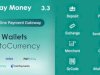 PayMoney v3.7 Nulled – Secure Online Payment Gateway Exchange & Wallet Script